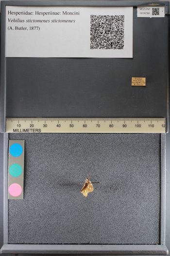 Media type: image;   Entomology 197391